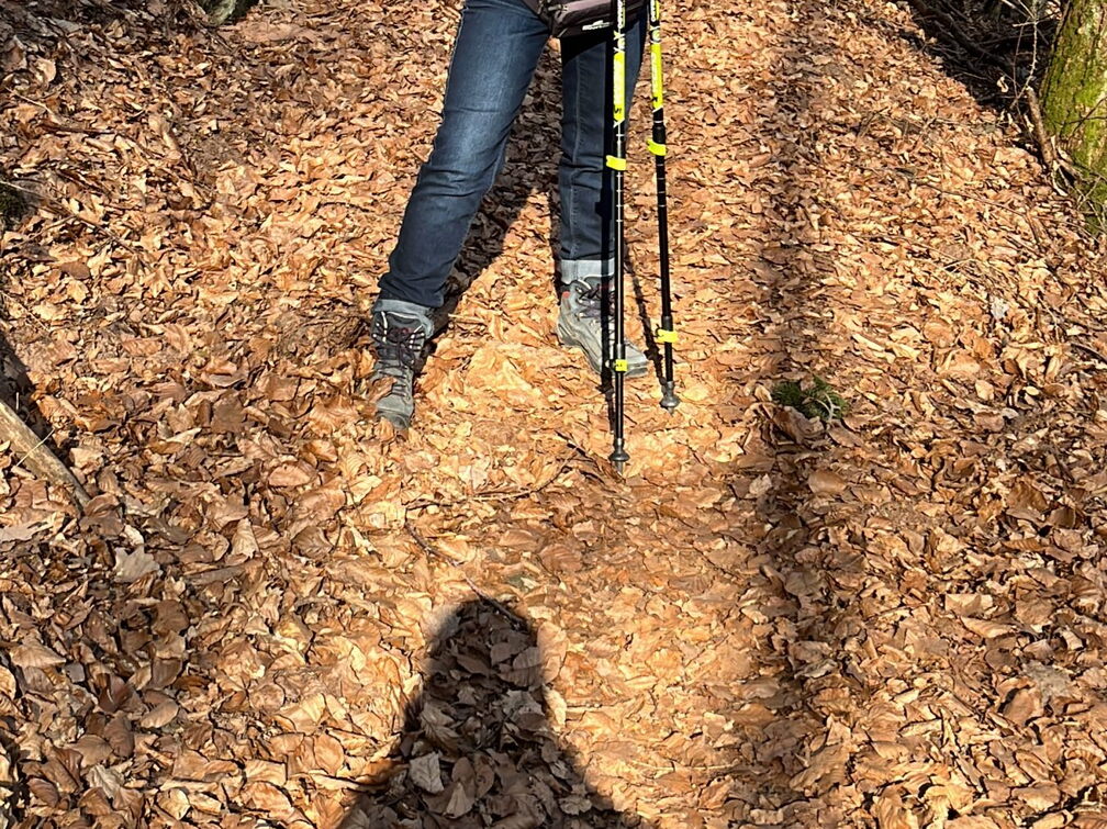 23-03-03 14-35-47 4652